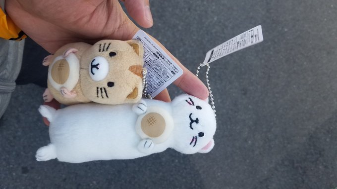 調べたら徳島のゲーセンにあったから朝一でゲット!めたぁー#オコジョとヤマネ 調べたら徳島のゲーセンにあったから朝一でゲット!めたぁー#オコジョとヤマネ