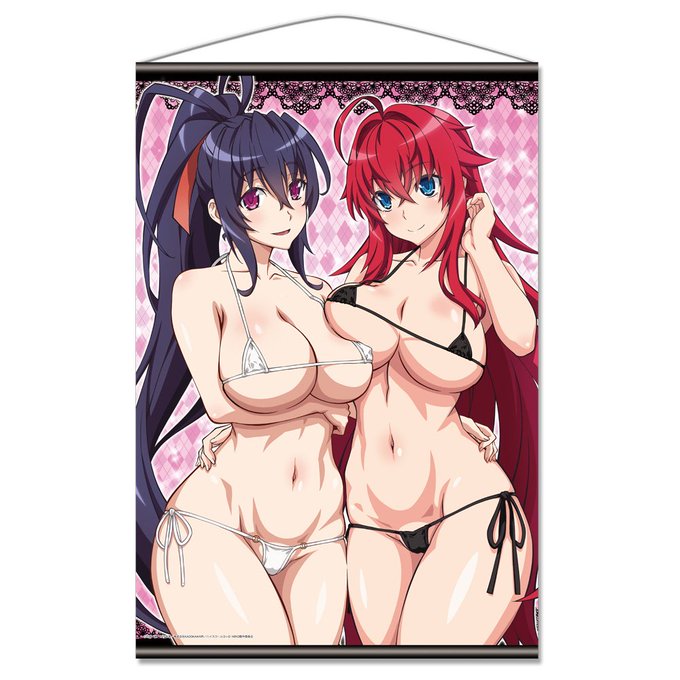【ハイスクールD×D HERO】コミックマーケット95 (西 No.3344)きゃらON!にて、B2タペストリーを先行版 【ハイスクールD×D HERO】コミックマーケット95 (西 No.3344)きゃらON!にて、B2タペストリーを先行版