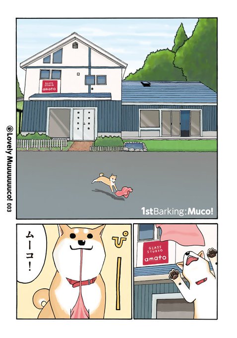 年末年始プレゼントキャンペーン!フォロー&RTして豪華賞品をゲット!「いとしのムーコ」おはなつやつや!飼い主のことが大好 年末年始プレゼントキャンペーン!フォロー&RTして豪華賞品をゲット!「いとしのムーコ」おはなつやつや!飼い主のことが大好