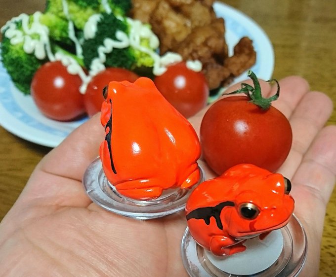 お餅も無くなり食生活も正月バージョンからほぼ戻ったけどまだまだ野菜類が足りないな半世紀を生きてきたオッサンは肉食が過ぎる お餅も無くなり食生活も正月バージョンからほぼ戻ったけどまだまだ野菜類が足りないな半世紀を生きてきたオッサンは肉食が過ぎる