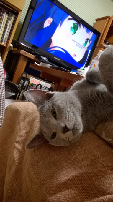 アニメと猫の写真をアップしてるんですが、フォルダーを漁っていたら出てきました。これ、一度アップしてるかな?ところで、メル アニメと猫の写真をアップしてるんですが、フォルダーを漁っていたら出てきました。これ、一度アップしてるかな?ところで、メル