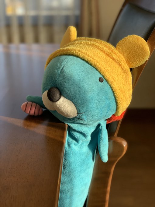 朝のぼのちゃん。#ぼのぼの#ぬい撮り#朝 朝のぼのちゃん。#ぼのぼの#ぬい撮り#朝