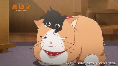撮影終わりからの電車の中で、『鹿楓堂よついろ日和』観てる。きなこ、可愛い😸😳 撮影終わりからの電車の中で、『鹿楓堂よついろ日和』観てる。きなこ、可愛い😸😳