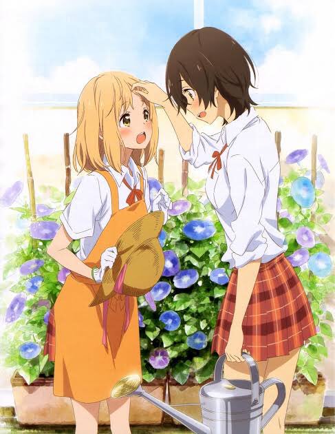 自主制作アニメのOVA版で百合ですね!地上波作品のOVAは大体消化してるんですけど、こっち系のOVAと劇場版は消化し切 自主制作アニメのOVA版で百合ですね!地上波作品のOVAは大体消化してるんですけど、こっち系のOVAと劇場版は消化し切