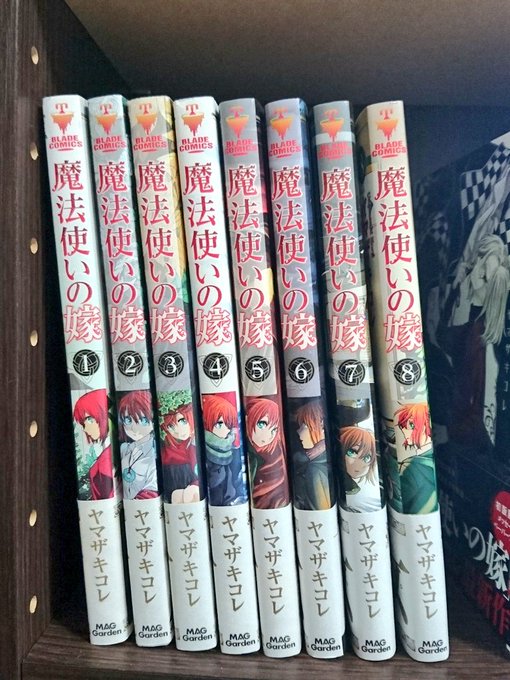 素晴らしいアニメ化を果たした魔法使いの嫁 素晴らしいアニメ化を果たした魔法使いの嫁