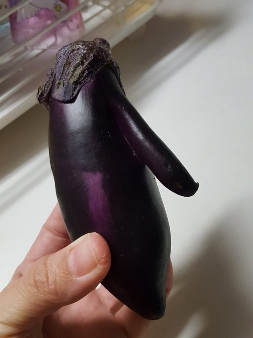 甘い懲罰見ながらご飯作ってたら、変な茄子でてきたw 甘い懲罰見ながらご飯作ってたら、変な茄子でてきたw