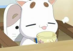 皆さんの中でのアニメランキングってありますか?(´・ω・)私は‥1位 ARIA ほのぼのと素敵発見w2位 GS美神 横島 皆さんの中でのアニメランキングってありますか?(´・ω・)私は‥1位 ARIA ほのぼのと素敵発見w2位 GS美神 横島