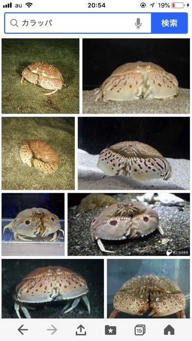 今日ツイッター上で何故か知らないがカラッパをよく見かけたので前から思ってる事言うんだけど、カラッパってアルドノア・ゼロの 今日ツイッター上で何故か知らないがカラッパをよく見かけたので前から思ってる事言うんだけど、カラッパってアルドノア・ゼロの
