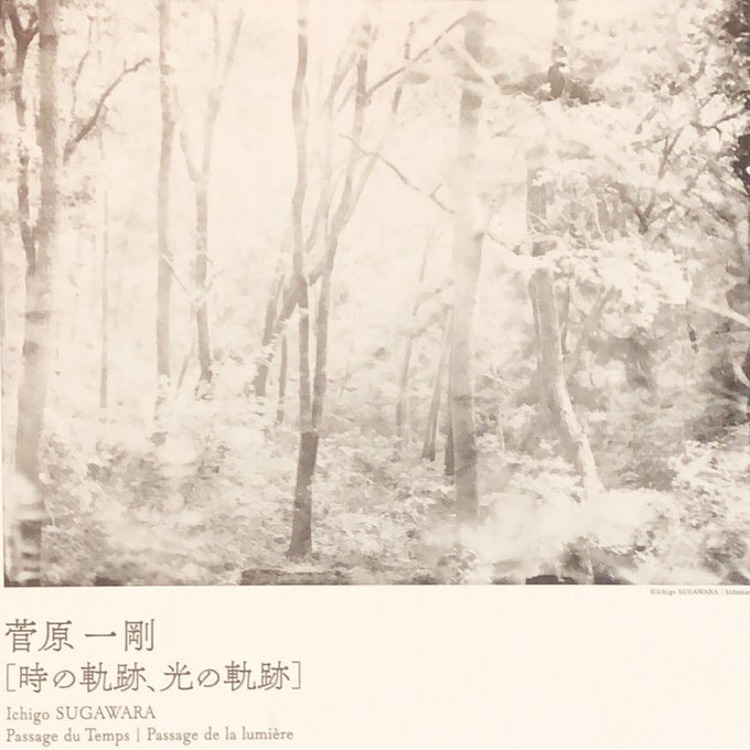 アニメ「蟲師」のオープニングディレクターである、写真家の菅原一剛さんの写真展が1/9からMYD Galleryで始まりま アニメ「蟲師」のオープニングディレクターである、写真家の菅原一剛さんの写真展が1/9からMYD Galleryで始まりま