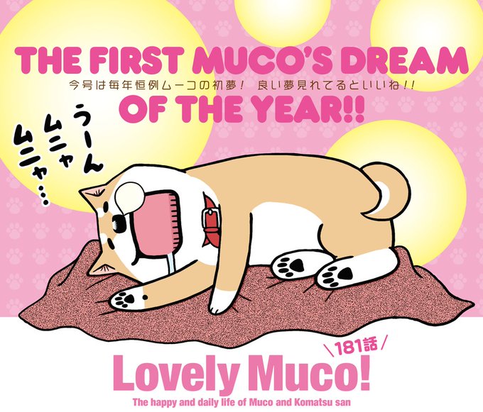 あけましておめでとうですよ!新年最初のイブニング3号は本日はつばーい。そしてこちらも新年最初の『いとしのムーコ』は毎年恒 あけましておめでとうですよ!新年最初のイブニング3号は本日はつばーい。そしてこちらも新年最初の『いとしのムーコ』は毎年恒