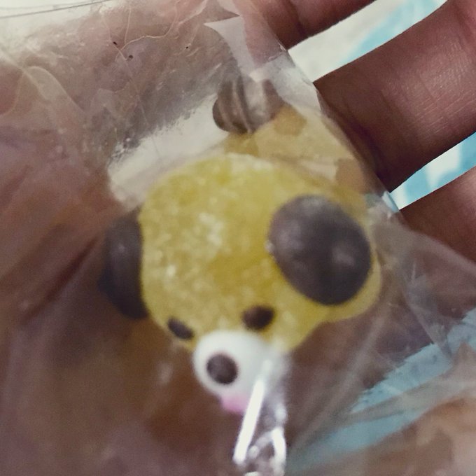 実は私は可愛いー!食べるの勿体なーい!って言ってゼリーでできた犬を一年以上冷蔵庫の中で飼っています。RT 実は私は可愛いー!食べるの勿体なーい!って言ってゼリーでできた犬を一年以上冷蔵庫の中で飼っています。RT