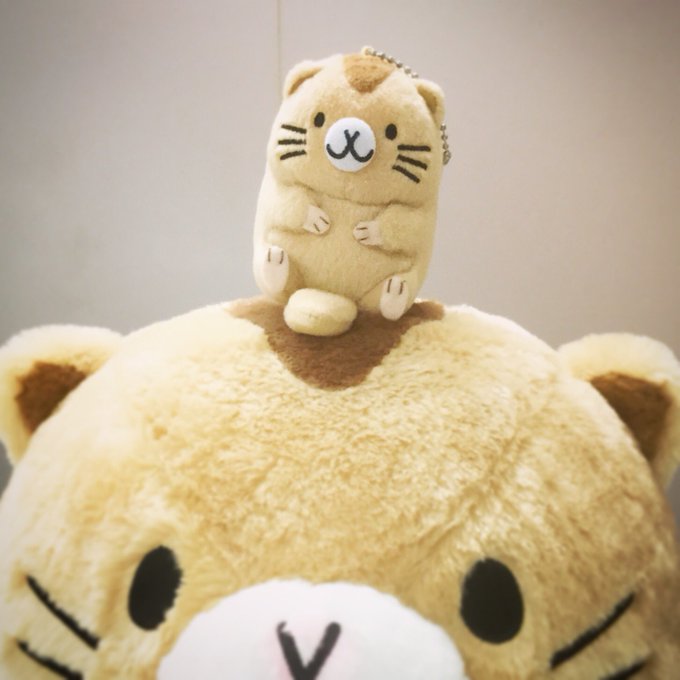 2019年??めたーっ迷走していて遅くなりました(*゚∀゚*)※作者イタチ科の為今年もよろしくおねがいいたちます!良いい 2019年??めたーっ迷走していて遅くなりました(*゚∀゚*)※作者イタチ科の為今年もよろしくおねがいいたちます!良いい