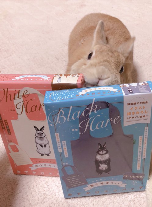 羽海野チカ先生の付録のエコバッグ 最近やっと手に入れました(∩´∀`∩)♪めっちゃかわいい🐰❤そして、ファスナー付きで使 羽海野チカ先生の付録のエコバッグ 最近やっと手に入れました(∩´∀`∩)♪めっちゃかわいい🐰❤そして、ファスナー付きで使