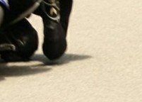実は私は 実は私は