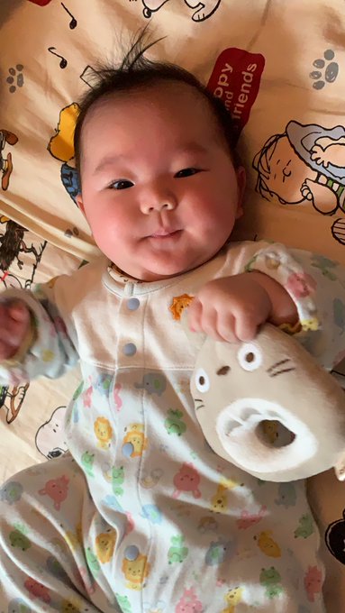 なんやこいつと、トトロの耳を鷲掴み😂笑 なんやこいつと、トトロの耳を鷲掴み😂笑
