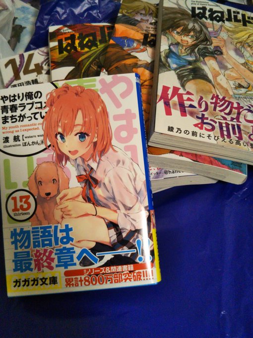 買ってなかった俺ガイルとはねバドも買った~ 買ってなかった俺ガイルとはねバドも買った~