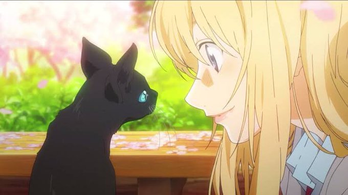 猫が出てくるアニメって神作品ばっかりだよね‼️(((o(*゚▽゚*)o)))♡#四月は君の嘘#さくら荘のペットな彼女#青 猫が出てくるアニメって神作品ばっかりだよね‼️(((o(*゚▽゚*)o)))♡#四月は君の嘘#さくら荘のペットな彼女#青