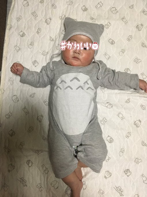 我が家の小トトロ🥰 我が家の小トトロ🥰