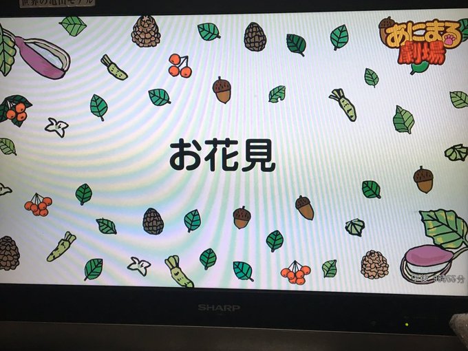 オコジョとヤマネ最終回!本当におつかれさまでした!!そして第1話へ...!!おこやまに毎週癒されました😄ありがとうござい オコジョとヤマネ最終回!本当におつかれさまでした!!そして第1話へ...!!おこやまに毎週癒されました😄ありがとうござい