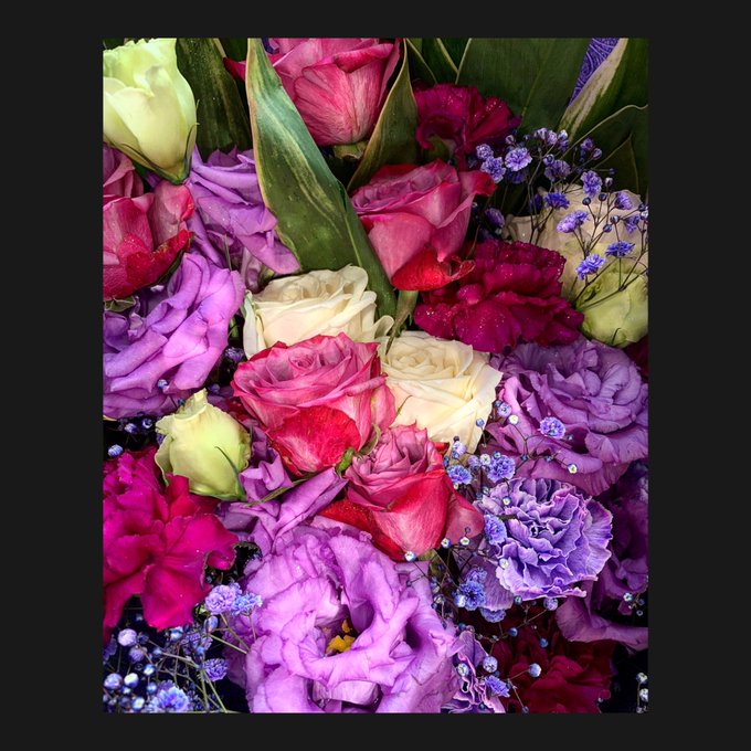 紫の薔薇が綺麗な花束を頂きました!「紫のバラ」といえば私の大好きな #ガラスの仮面 で北島マヤが初めてのファンから贈られ 紫の薔薇が綺麗な花束を頂きました!「紫のバラ」といえば私の大好きな #ガラスの仮面 で北島マヤが初めてのファンから贈られ