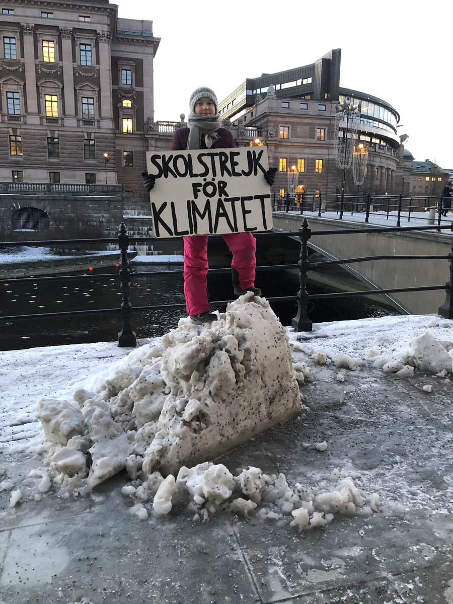 RT @GretaThunberg: School strike week 22.
#climatestrike #fridaysforfuture #schoolstrike4climate https://t.co/56rM59RqOt