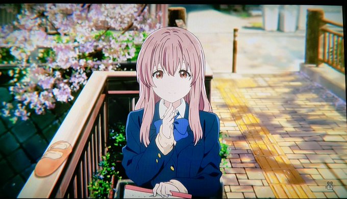 日本映画館専門チャンネルで「#聲の形」やってますっ‼️いろんなところで放送されてますね。嬉しい🎵「ありがとう。」 日本映画館専門チャンネルで「#聲の形」やってますっ‼️いろんなところで放送されてますね。嬉しい🎵「ありがとう。」