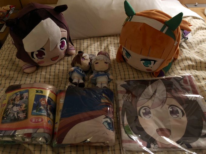 1日目、秋葉原のゲームセンターでウマ娘の景品を獲った(`・ω・´) 1日目、秋葉原のゲームセンターでウマ娘の景品を獲った(`・ω・´)