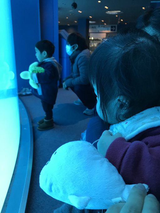 ゴマちゃんと水族館(⌯¤̴̶̷̀ω¤̴̶̷́)✧#ゴマちゃん #娘 #7ヶ月 ゴマちゃんと水族館(⌯¤̴̶̷̀ω¤̴̶̷́)✧#ゴマちゃん #娘 #7ヶ月