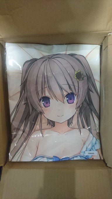 二枚セットの真白抱き枕が届きました これ「sprite shop」で僕の最終ご注文です いままでありがとうございますいつ 二枚セットの真白抱き枕が届きました これ「sprite shop」で僕の最終ご注文です いままでありがとうございますいつ