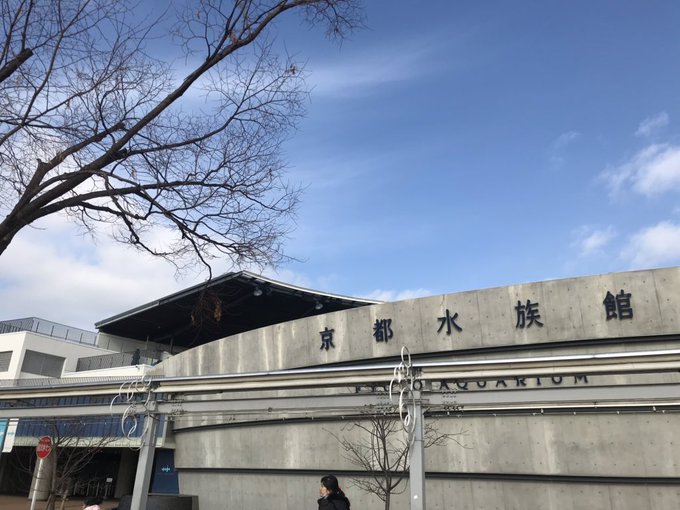 中二病でも恋がしたい!戀の2話の聖地巡礼へ行ってきましたまずは京都水族館へ 中二病でも恋がしたい!戀の2話の聖地巡礼へ行ってきましたまずは京都水族館へ