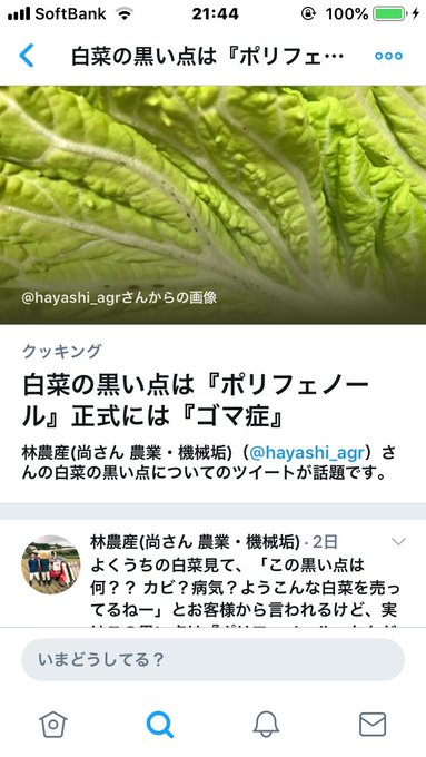 ゴマ症(OvO)わたしはゴマはゴマでもゴマちゃん症です。ゴマちゃんがいないと寝れない命の次に大事なゴマちゃん(o^^o) ゴマ症(OvO)わたしはゴマはゴマでもゴマちゃん症です。ゴマちゃんがいないと寝れない命の次に大事なゴマちゃん(o^^o)