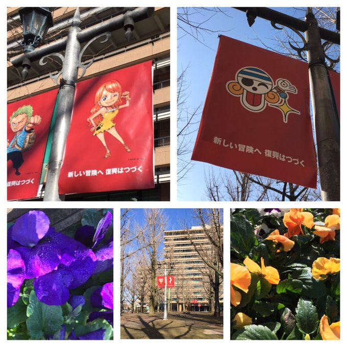 2019年1月21日(月)今日のルフィ。☀️熊本は快晴。とても暖かいです。ナミの旗、きれいに戻してくれています。 #毎日 2019年1月21日(月)今日のルフィ。☀️熊本は快晴。とても暖かいです。ナミの旗、きれいに戻してくれています。 #毎日