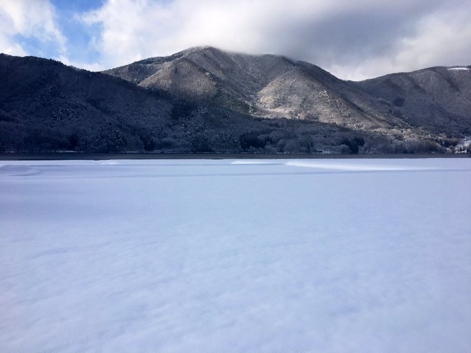 稲尾に広がる雪原はほぼ全部田んぼだよ。稲刈り直前に金色の稲をかき分けてナウシカごっこするのがここだよ。ついつい通り過ぎち 稲尾に広がる雪原はほぼ全部田んぼだよ。稲刈り直前に金色の稲をかき分けてナウシカごっこするのがここだよ。ついつい通り過ぎち