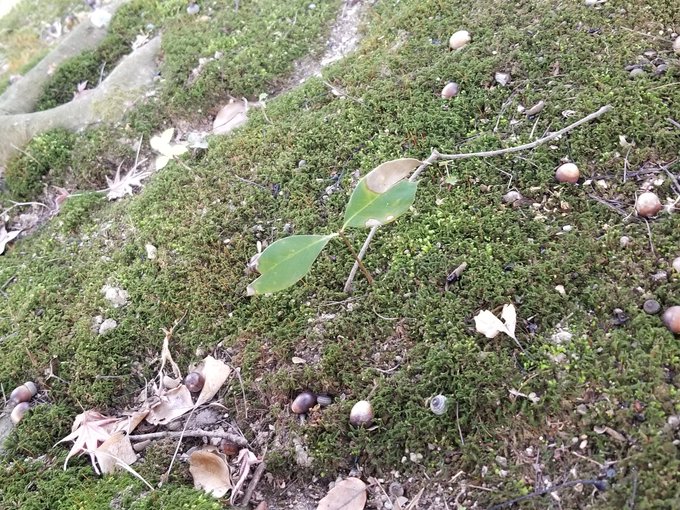 ナウシカのラストの様な場所をぬけて、 ナウシカのラストの様な場所をぬけて、