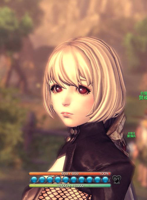 ブレイドアンドソウルというゲームを少し始めました。 ブレイドアンドソウルというゲームを少し始めました。