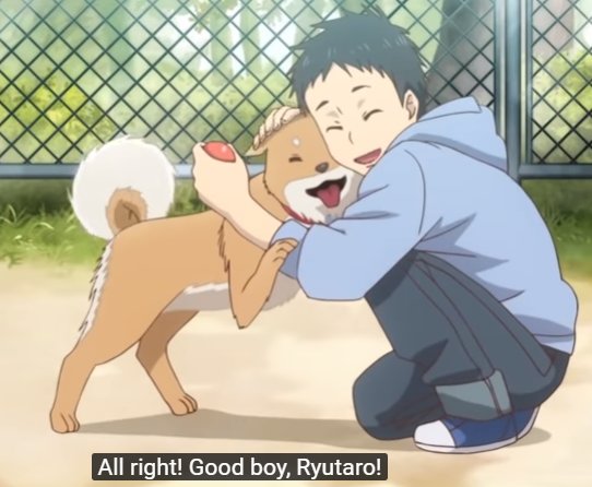 ¡Mesero! Este anime tiene demasiados perros.😾😾😾My Roommate i ¡Mesero! Este anime tiene demasiados perros.😾😾😾My Roommate i