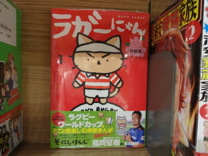 谷島屋パルシェ店です。【本日のおすすめ本】『ラガーにゃん 1』そにしけんじ(光文社)ねこねこ日本史・猫ピッチャーの著者そ 谷島屋パルシェ店です。【本日のおすすめ本】『ラガーにゃん 1』そにしけんじ(光文社)ねこねこ日本史・猫ピッチャーの著者そ