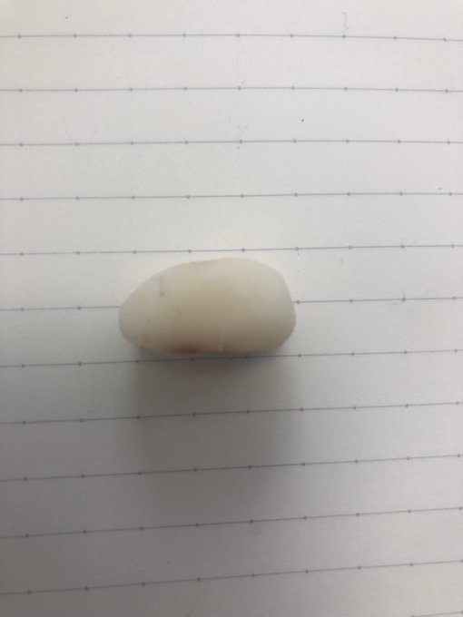 遊戯王の消しゴム 遊戯王の消しゴム