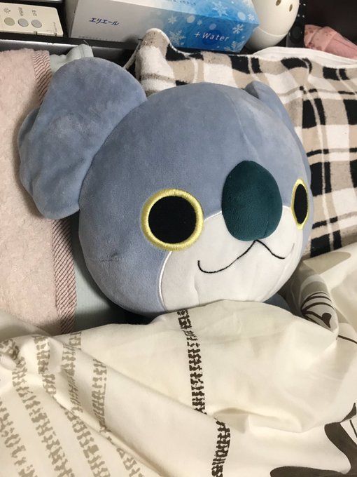 寝室に寝かせて隠してたらめっちゃ喜んでた〜😊この子もお薬飲む時のお供になってます(笑)#次男坊 #インフルエンザ #登園 寝室に寝かせて隠してたらめっちゃ喜んでた〜😊この子もお薬飲む時のお供になってます(笑)#次男坊 #インフルエンザ #登園
