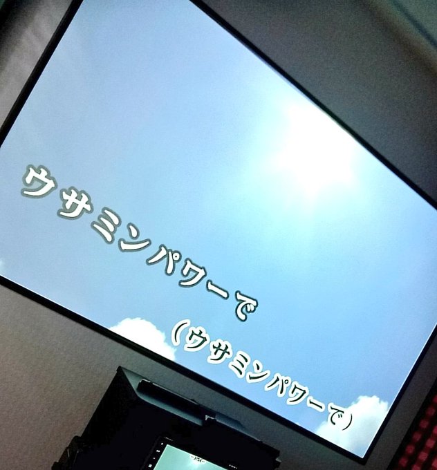 うさうさうーさーうーさーみん!! うさうさうーさーうーさーみん!!