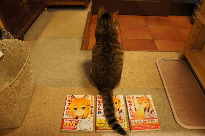 新刊たくさん入荷しましたー!!ポッキーの尻尾が乗ってる「世話やきキツネの仙狐さん」は1~3巻まとめて入りました!新刊棚が 新刊たくさん入荷しましたー!!ポッキーの尻尾が乗ってる「世話やきキツネの仙狐さん」は1~3巻まとめて入りました!新刊棚が