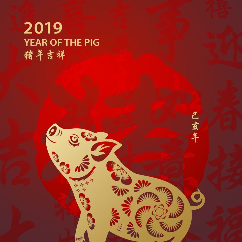 HAPPY Chinese New Year!!! ???????? #YearOfThePig https://t.co/F5rAMwBli2
