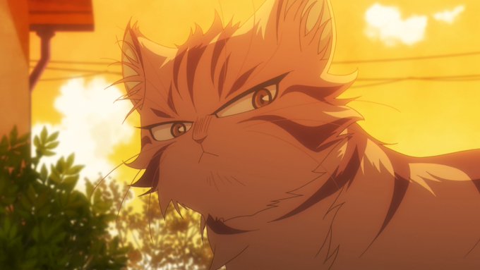 /トラ姉さん、クロが初登場🐾📺本日第6話放送スタート!\トラ姉さん(CV:#豊口めぐみ)、クロ(CV:#小野大輔)が登場 /トラ姉さん、クロが初登場🐾📺本日第6話放送スタート!\トラ姉さん(CV:#豊口めぐみ)、クロ(CV:#小野大輔)が登場