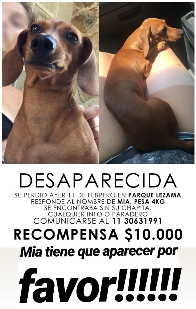 Por favor RT ???? perrita perdida https://t.co/XmTmB8BA6j