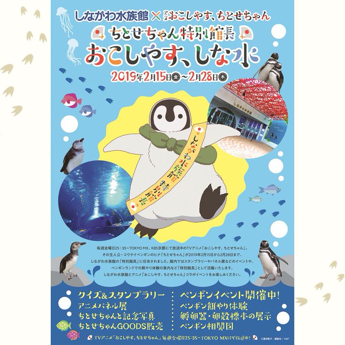 \明日から❗/🎊#しながわ水族館 コラボスタート🎊#ちとせちゃん🐧が特別館長に就任㊗館内を巡るクイズ&スタンプラリーでオ \明日から❗/🎊#しながわ水族館 コラボスタート🎊#ちとせちゃん🐧が特別館長に就任㊗館内を巡るクイズ&スタンプラリーでオ