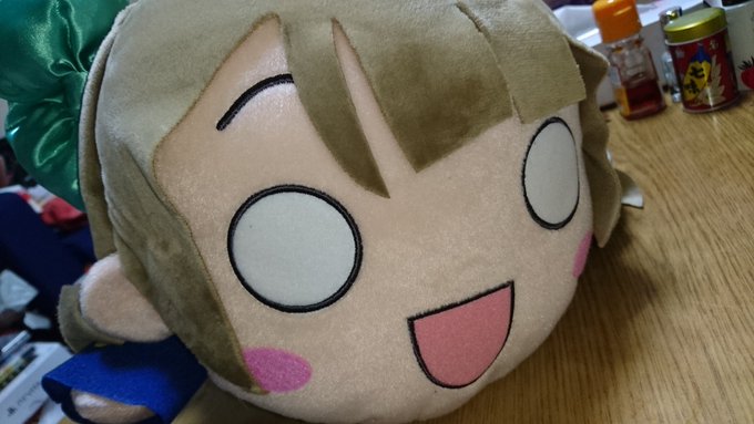 #思い出の寝そべりぬいぐるみとそのエピソードを書く見た人もやる当時は「ハイパージャンボ」という商品名だったことりちゃん。 #思い出の寝そべりぬいぐるみとそのエピソードを書く見た人もやる当時は「ハイパージャンボ」という商品名だったことりちゃん。