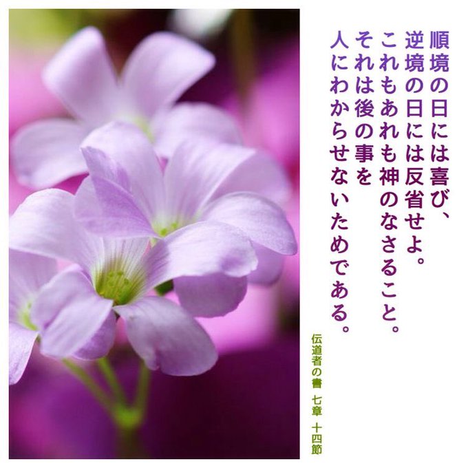 神のみわざに目を留めよ。神が曲げたものをだれがまっすぐにできようか。順境の日には喜び、逆境の日には反省せよ。これもあれも 神のみわざに目を留めよ。神が曲げたものをだれがまっすぐにできようか。順境の日には喜び、逆境の日には反省せよ。これもあれも