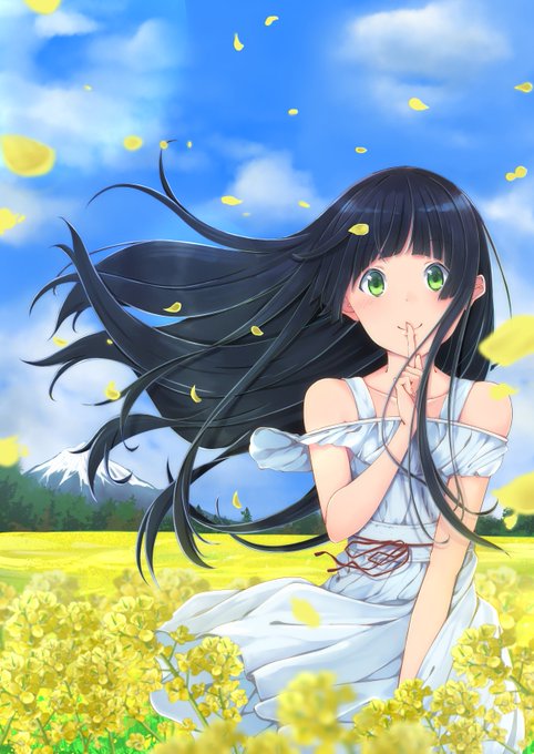 菜の花畑で秘密の...#ふらいんぐうぃっち 菜の花畑で秘密の...#ふらいんぐうぃっち