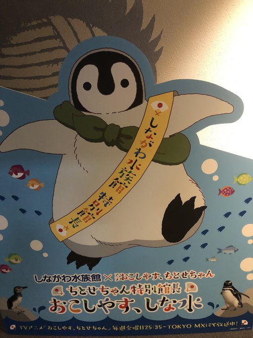 しな水のちとせちゃん コラボが結構がっつりコラボだったが、何故京都のちとせちゃん がしな水なのかの説明は一切無かった しな水のちとせちゃん コラボが結構がっつりコラボだったが、何故京都のちとせちゃん がしな水なのかの説明は一切無かった