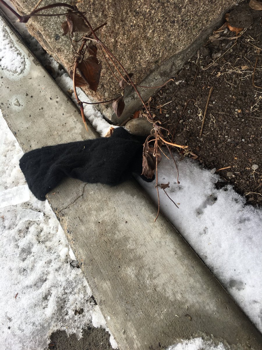 Sock?  Glove?  Lost?  Abandoned?  So many questions. Hanx https://t.co/VmD6G0vhz4